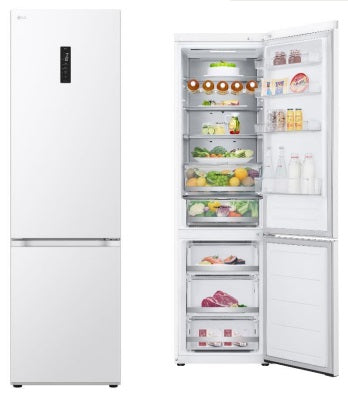 Šaldytuvas Lg GBV7270ESW